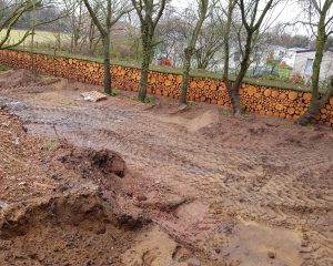 Conifer logs forming tidy bank at perimeter of property